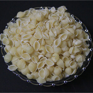 SHELL PASTA
