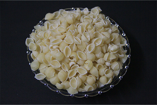 SHELL PASTA